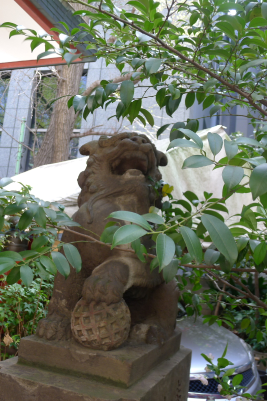 三崎稲荷神社の狛犬
