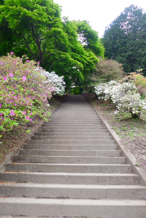 宝登山神社奥宮へ向かう階段