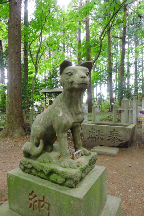 宝登山神社奥宮のオオカミの姿の狛犬