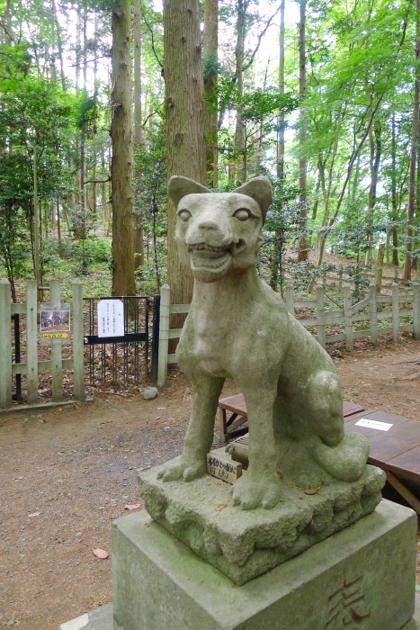 宝登山神社奥宮のオオカミの姿をした狛犬