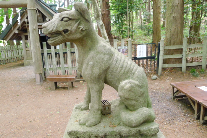 宝登山神社奥宮の狛犬