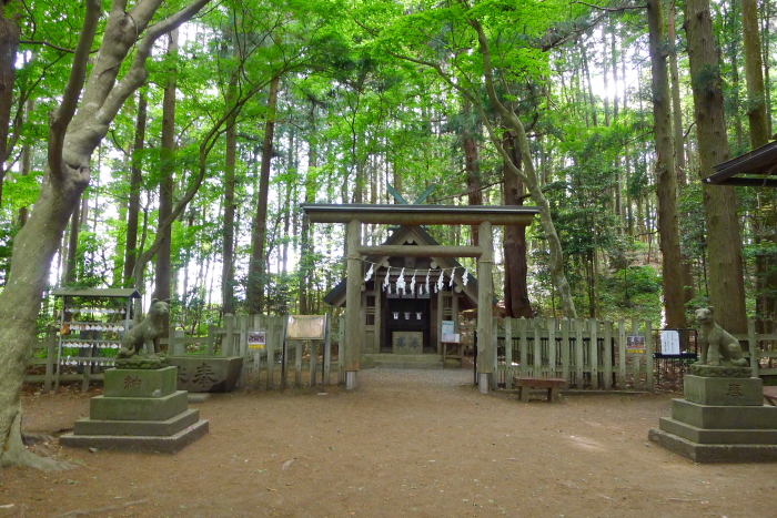 宝登山神社奥宮の境内