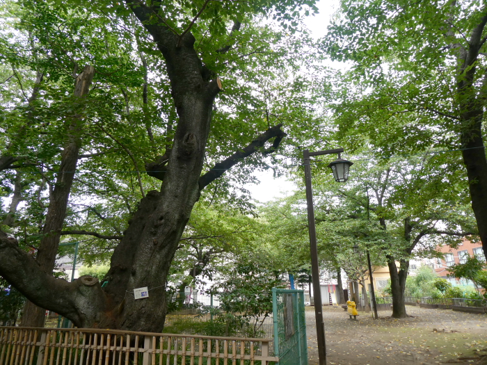 豊島区駒込妙技神社に隣接する公園