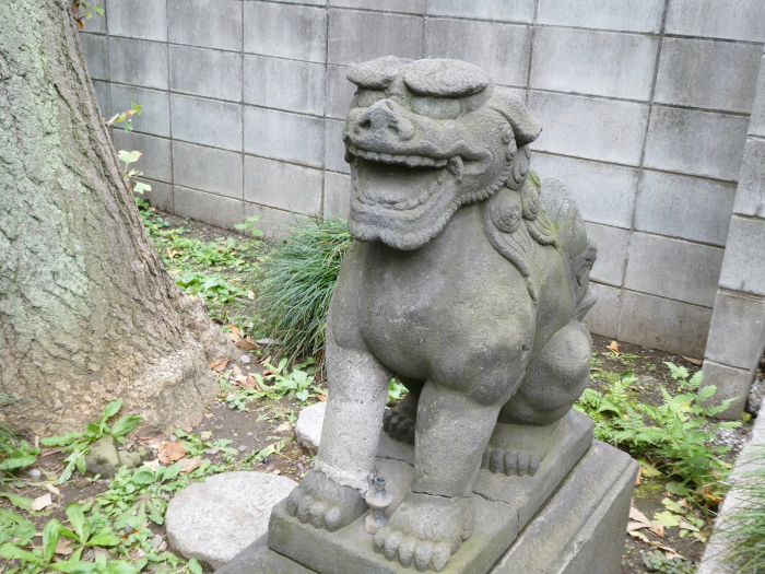 台東区_須賀神社（団子天王）の境内の片隅にいる狛犬