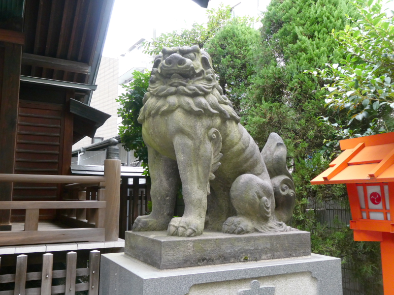 台東区_蔵前神社の狛犬
