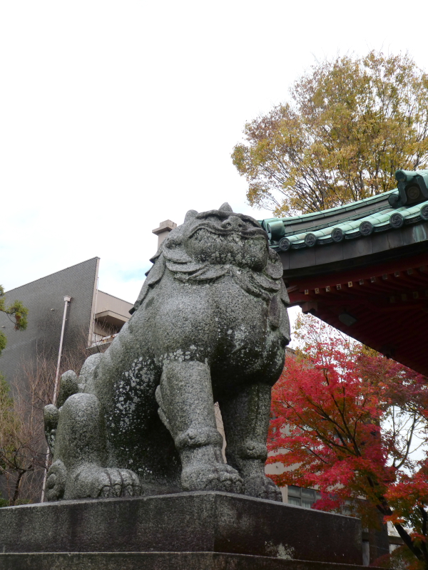 石川県金沢市の尾崎神社の狛犬