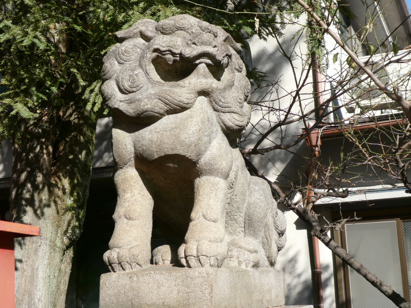 板橋区_熊野神社の社殿前の狛犬