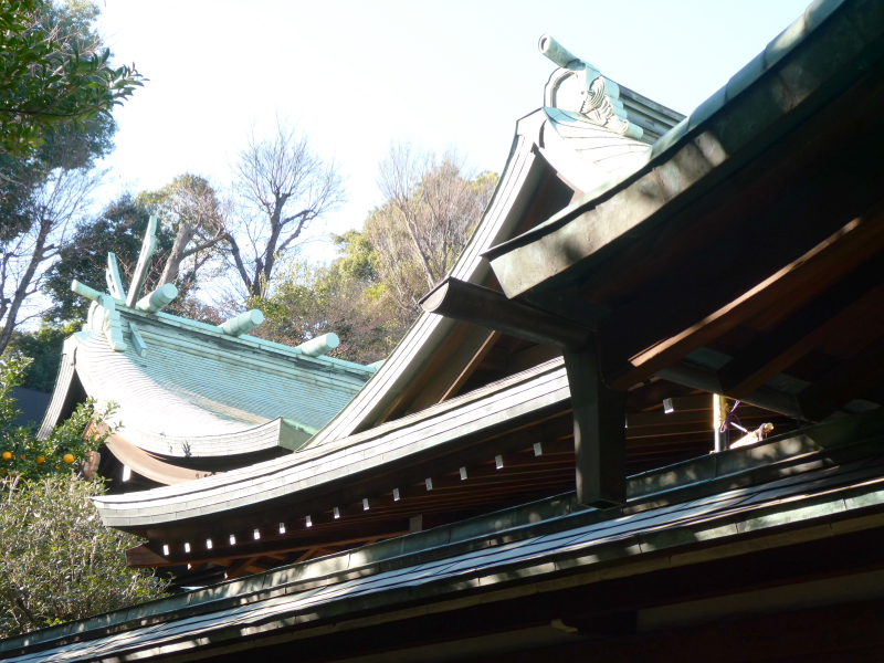 港区_白金氷川神社の社殿を横から見上げる