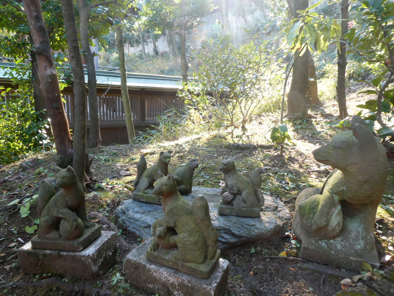 港区_白金氷川神社の境内社「衣食住の守護の神様」の近くにはたくさんのお稲荷さんがいます