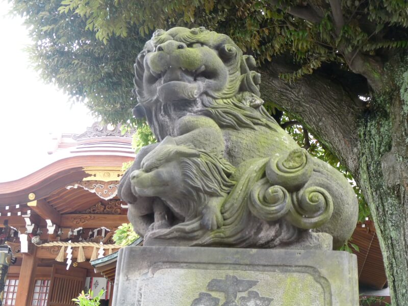 目黒大鳥神社の狛犬